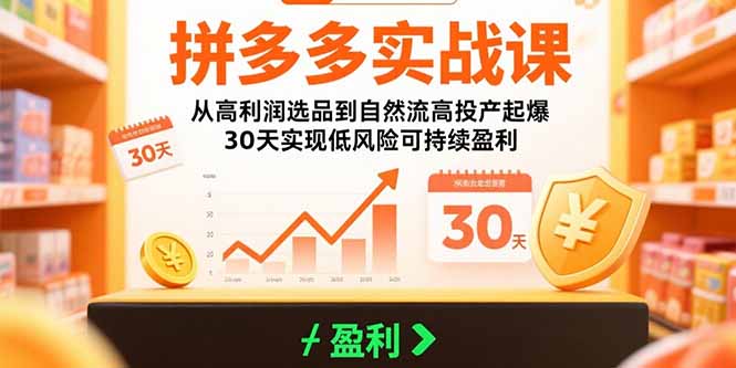 拼多多实战课：从高利润选品到自然流高投产起爆 30天实现低风险可持续盈利-68资源