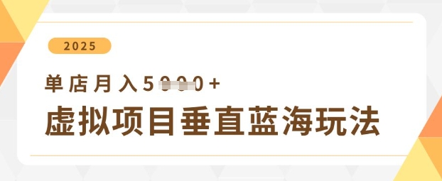 虚拟项目垂直玩法，实现单店月入5k+-68资源
