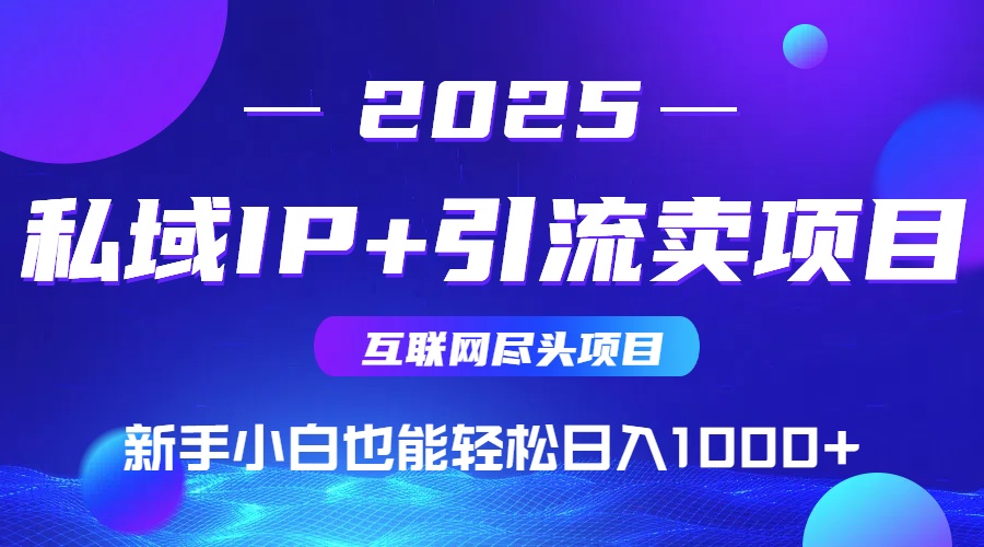 2025网创尽头项目，私域IP+引流，新手小白也能在家日入1000+-68资源