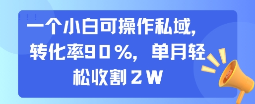 一个小白可操作私域，转化率90%，单月轻松收割2W-68资源