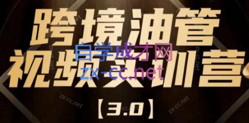 阿蔺Leo·跨境油管视频YouTube实训营(更新2025)-68资源