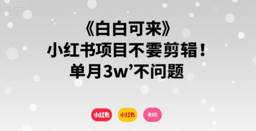 小白可来 小红书项目不需要剪辑 单月3w不是问题-68资源