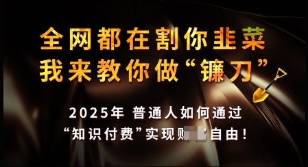 知识付费如何做到月入过W+，2025我来教你做“镰刀”【揭秘】-68资源