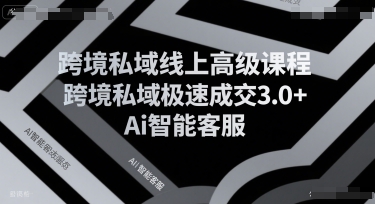 跨境私域线上高级课程，跨境私域极速成交3.0+Ai智能客服-68资源
