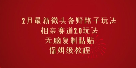 2月最新微头条野路子玩法，相亲赛道2.0玩法，无脑复制粘贴，保姆级教程-68资源