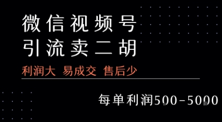 视频号卖二胡教程，利润大 易成交 售后少，一单利润5张+-68资源