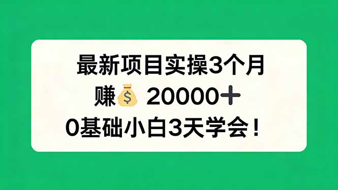 最新项目实操3个月，赚钱20000+，0基础小白3天学会！-68资源