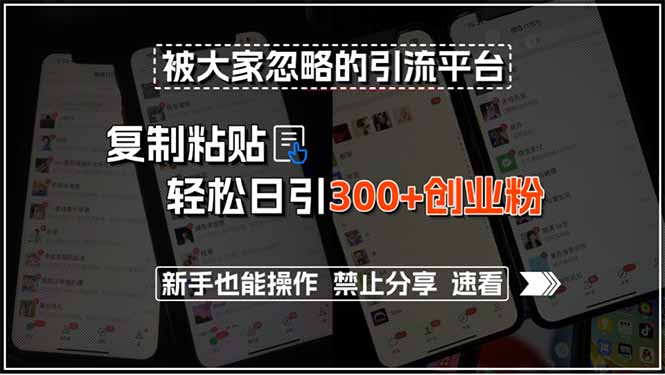 被大家忽略的引流平台，复制粘贴轻松日引300+创业粉，新手也能操作，禁...-68资源