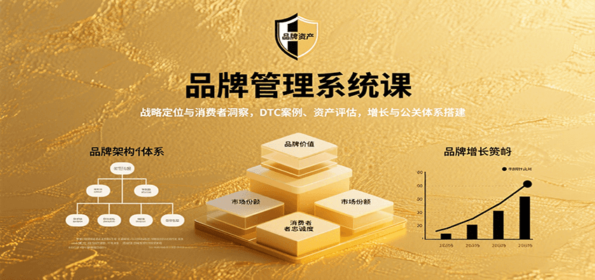 品牌管理系统课：战略定位与消费者洞察，DTC案例、资产评估，增长与公关体系搭建-68资源
