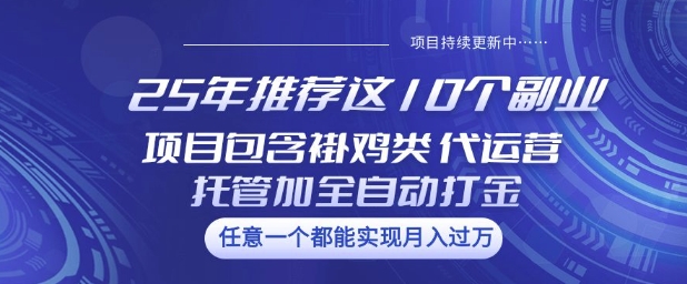 25年推荐这10个副业项目包含褂鸡类、代运营托管类、全自动打金类【揭秘】-68资源