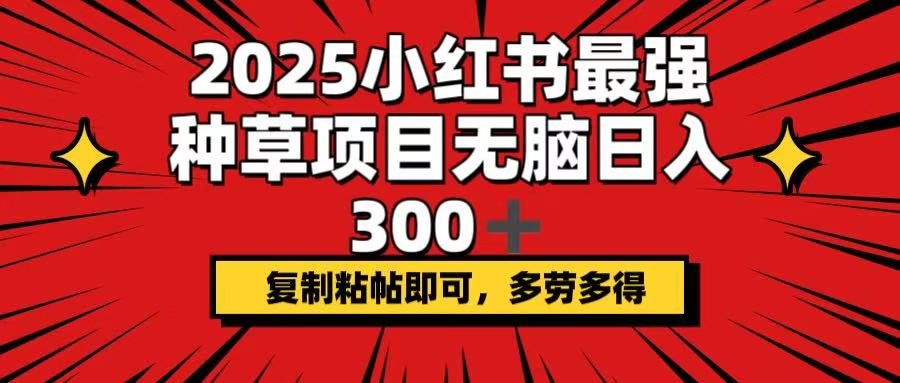（14375期）2025小红书最强种草项目，无脑日入300+，复制粘帖即可，多劳多得-68资源