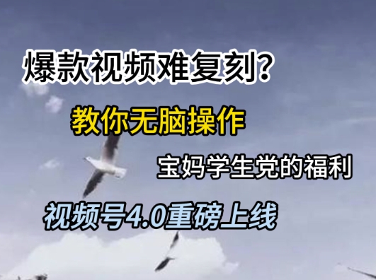 视频号4.0重磅上线，爆款视频难复刻？教你无脑操作宝妈学生党的福利【揭秘】-68资源