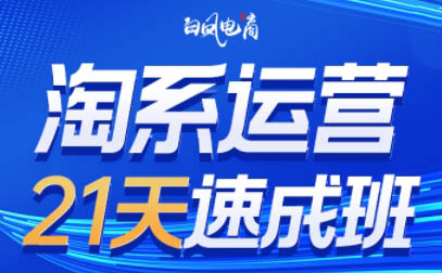 白凤电商·淘系运营21天速成班(更新6月)-68资源