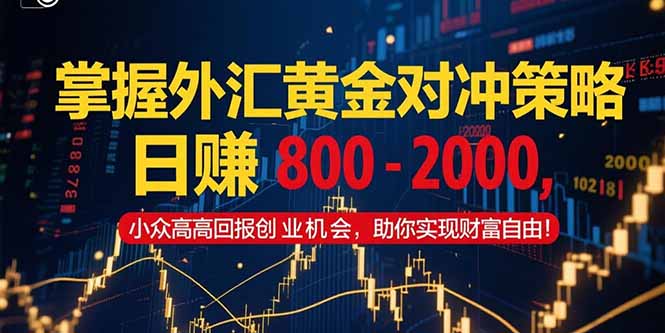 掌握外汇黄金对冲策略，日赚 800 - 2000，小众高回报创业机会，助你实...-68资源
