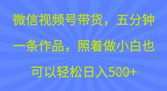 微信视频号带货，五分钟一条作品，照着做小白也可以轻松日入5张-68资源