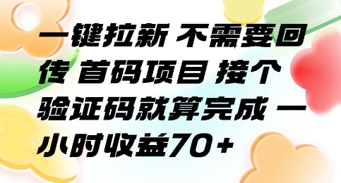 一键拉新 不需要回传 首码项目 接个验证码就算完成 一小时收益70+【揭秘】-68资源