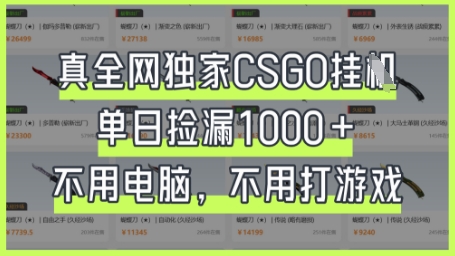 真全网独家CSGO挂G，单日捡漏1k+【揭秘】-68资源
