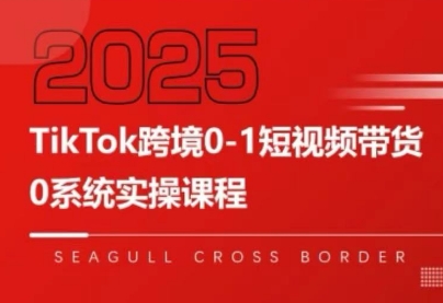 大亿老师·TikTok跨境0-1短视频带货-68资源