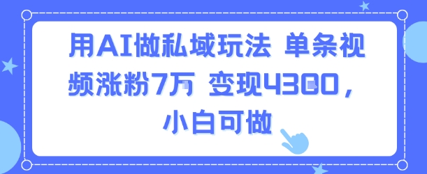 用AI做私域玩法，单条视频涨粉7W变现4.3k，小白可做-68资源