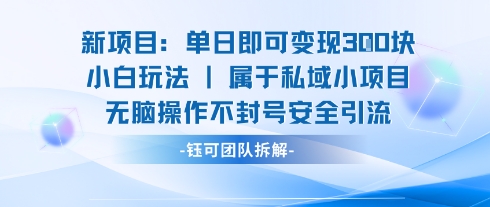 新项目单日即可变现3张的小白玩法无脑操作不封号安全引流-68资源
