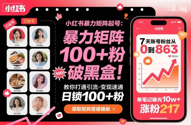 小红书暴力矩阵起号，教你打通引流-变现速通，日锁100+粉，破流量黑盒-68资源