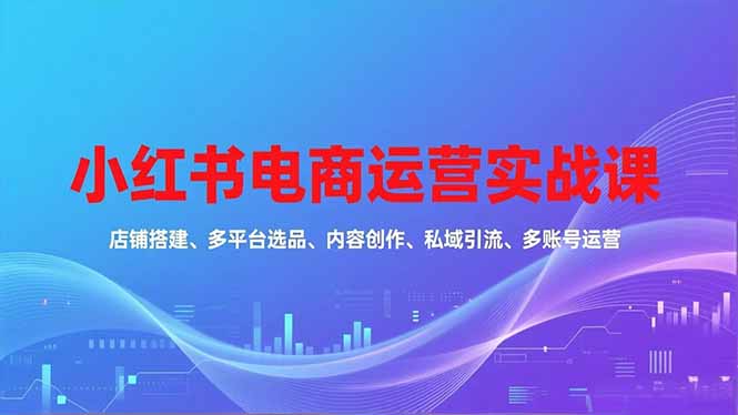 小红书电商运营实战课，店铺搭建、多平台选品、内容创作、私域引流、多账号运营等玩法-68资源