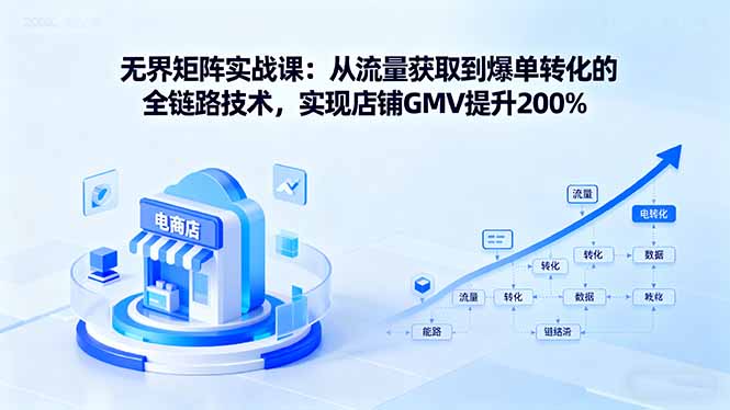 无界矩阵实战课：从流量获取到爆单转化的全链路技术，实现店铺GMV提升200%-68资源
