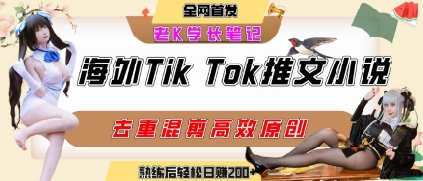 海外tiktok小说推文暴力项目，高停留率，高转化率，上手后一天搞顿饭钱不是问题-68资源