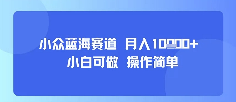 小众蓝海赛道，小白可做，操作简单，每天30分钟，月入1W+-68资源