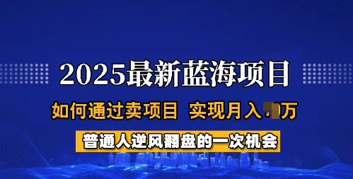 2025蓝海项目，普通人如何通过卖项目，实现月入过W，全过程【揭秘】-68资源