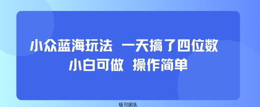 小众蓝海玩法 一天搞了四位数 小白可做 操作简单-68资源