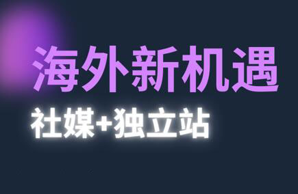 棕榈·2025出海新机遇(社媒+独立站)-68资源
