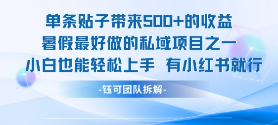 单条贴子带来5张的收益，暑假最好做的私域项目之一，小白也能轻松上手，有小红书就行-68资源