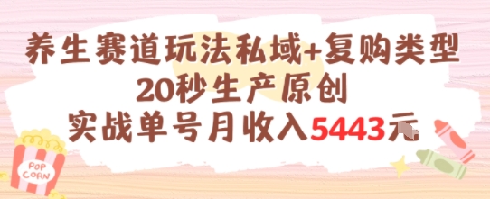 养生赛道玩法私域+复购类型，20秒生产原创实战单号月收入5k+-68资源