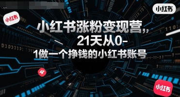 小红书涨粉变现营，21天从0-1做一个挣钱的小红书账号-68资源