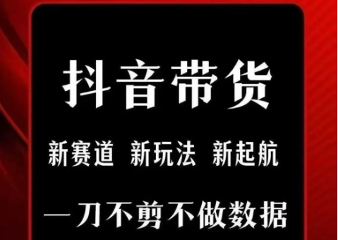 抖音短视频一刀不剪带货，不剪辑，不直播，每天发个视频，等着出单获取带货佣金-68资源