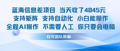 蓝海信息差项目当天收米1k+ 支持矩阵支持自动化小白能操作全程AI操作不需要人工你只要会电脑-68资源