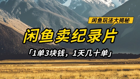 闲鱼卖纪录片1单3块钱，1天几十单，项目稳定有潜力-68资源