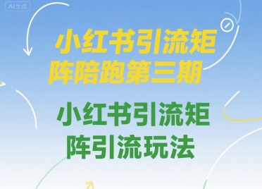小红书引流矩阵陪跑第三期，小红书引流矩阵引流玩法-68资源