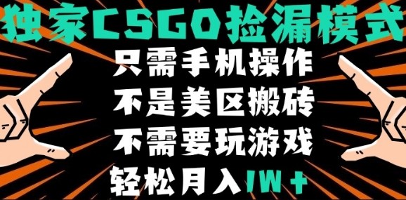 CSGO自动捡漏项目，最新独家玩法，不是美区搬砖，不需要了解和玩游戏，新手小白轻松月入1W+【揭秘】-68资源
