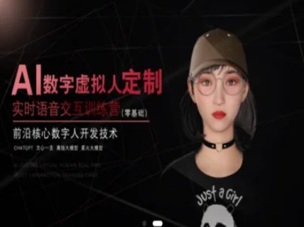 AI数字虚拟人定制，实时语音交互训练营(零基础)，前沿核心数字人开发技术-68资源