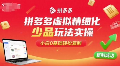 拼多多虚拟精细化少品玩法实操，小白0基础轻松复制-68资源