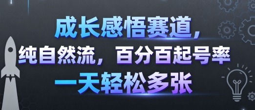 成长感悟赛道，纯自然流，百分百起号率 一天轻松多张-68资源