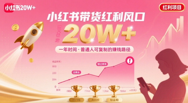 一年时间靠小红书带货项目年入20w+，最不能错的大红利项目-68资源