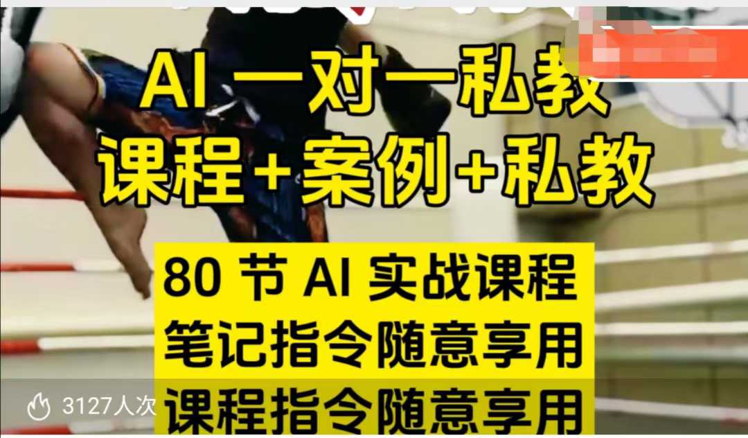 AI指令实战课，课程+案例，80节AI实战课程，笔记指令随意享用，课程指令随意享用(更新7月)-68资源