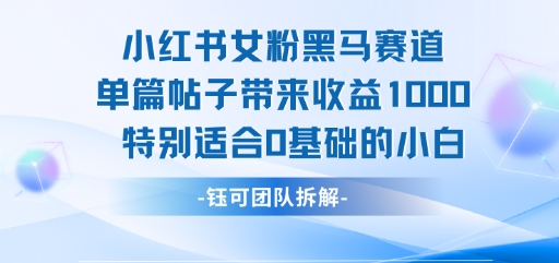 小红书女粉黑马赛道单篇帖子带来收益1k+，特别适合0基础的小白-68资源