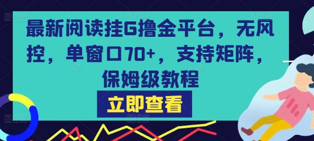 最新阅读挂G撸金平台，无风控，单窗口70+，支持矩阵，保姆级教程【揭秘】-68资源