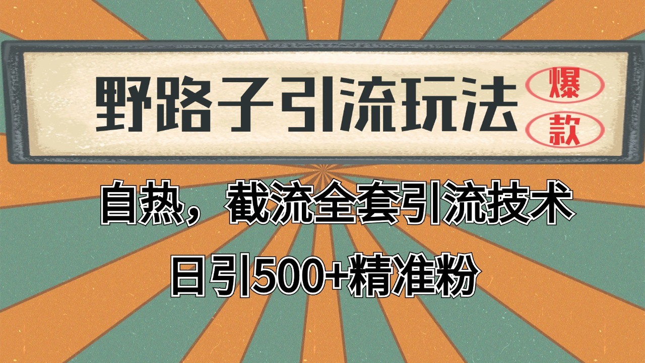 2024首发野路子引流玩法截流自热全平台打法，全自动引流【日引2000+精准客户】-68资源