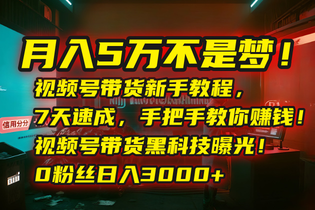 月入5万不是梦！视频号带货新手教程，7天速成，手把手教你赚钱！视频号...-68资源
