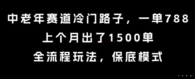 中老年赛道冷门路子，一单788，上个月出了1500单，全流程玩法，保底模式【揭秘】-68资源